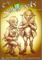 Les Shamrocks - Irish trad music